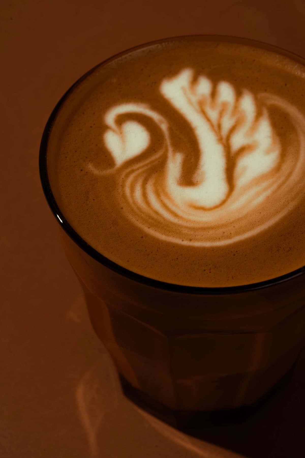 Coffeeverse coffee topped with latte art