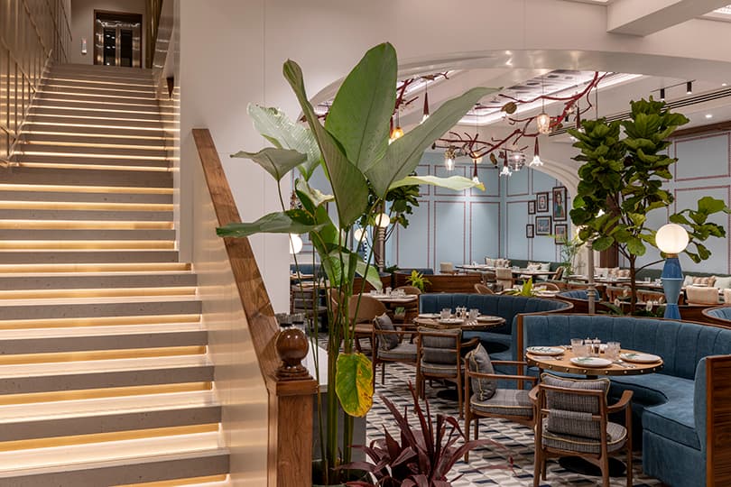 Illuminated staircase with tropical plants