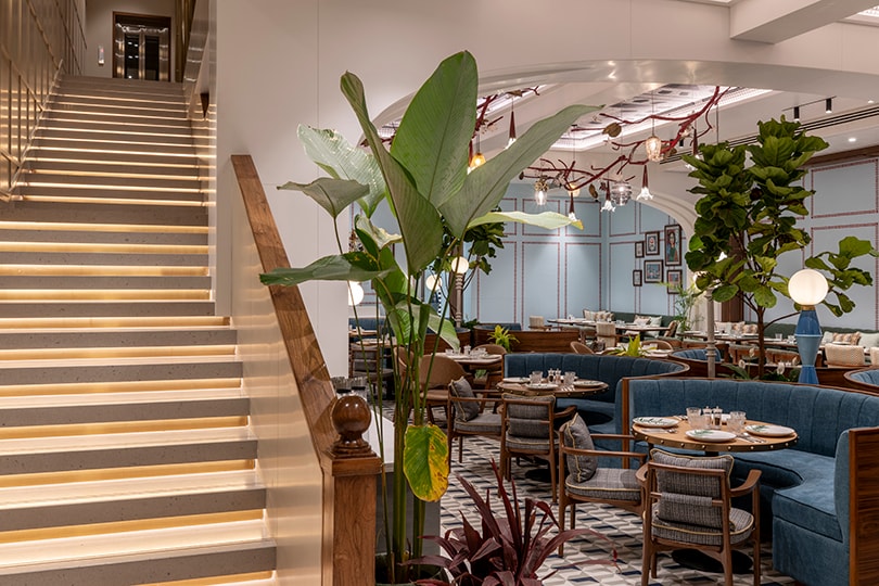 Illuminated staircase with tropical plants